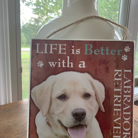 ❤️  Lovable Lab 🦮 - Picture 2 of 4